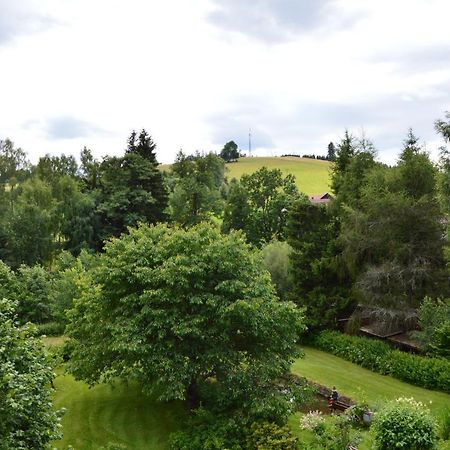 Horsky Apartman Pod Zelenou Strechou Bartosovice v Orlickych Horach Экстерьер фото