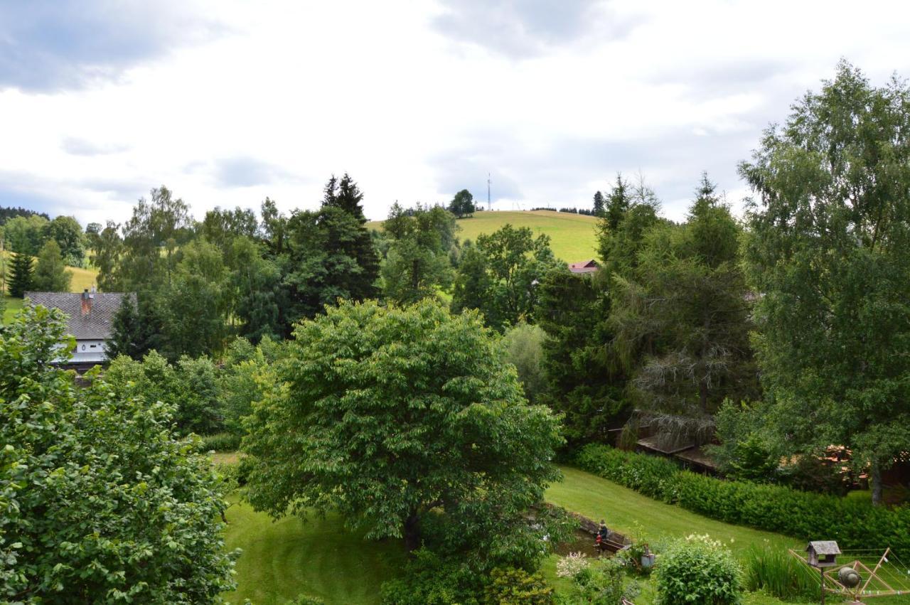 Horsky Apartman Pod Zelenou Strechou Bartosovice v Orlickych Horach Экстерьер фото