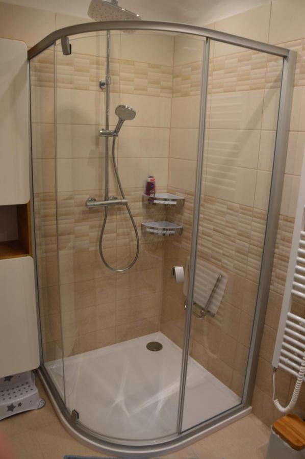 Horsky Apartman Pod Zelenou Strechou Bartosovice v Orlickych Horach Экстерьер фото